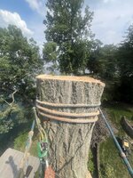 IMG_8856.jpeg