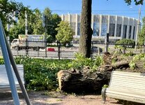 IMG_4830.jpeg