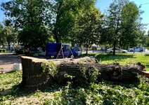 IMG_4835.jpeg
