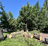 IMG_4837.jpeg