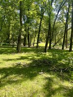 IMG_4819.jpeg