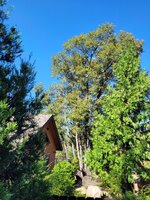 20250715_093723.jpg