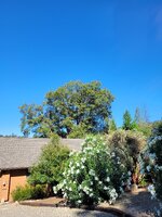 20250715_093742.jpg