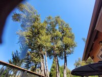 20250715_093839.jpg