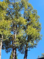 20250715_093850.jpg
