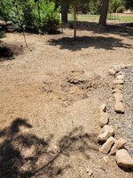 20250716_124017.jpg