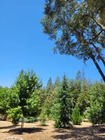 20250716_124223.jpg
