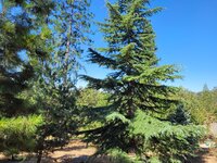 20250717_093934.jpg