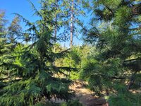 20250717_093943.jpg