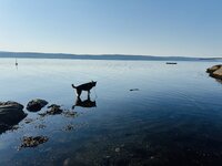 IMG_0977.jpeg