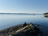 IMG_0979.jpeg