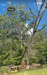 IMG_4021.jpeg
