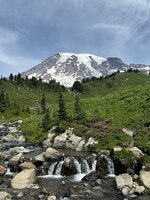 IMG_7940.jpeg