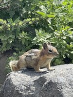 IMG_7176.jpeg