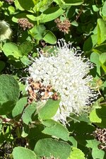 IMG_7917.jpeg
