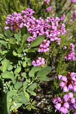 IMG_7918.jpeg