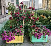 IMG_4866.jpeg