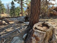 IMG_4059.jpeg