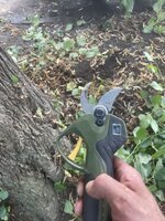 IMG_0346.jpeg