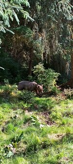 IMG_20250721_101038_MP.jpg