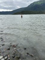 IMG_8006.jpeg