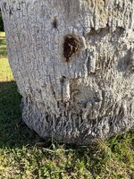 IMG_4127.jpeg