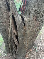 IMG_8883.jpeg