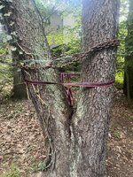 IMG_8882.jpeg
