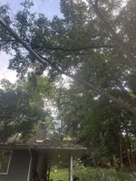 IMG_8881.jpeg