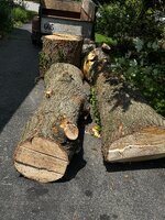 IMG_9684.JPG