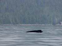 IMG_9566.jpeg