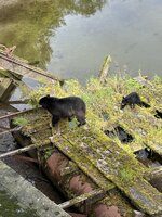 IMG_8167.jpeg
