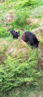 IMG_20250730_114619_MP.jpg