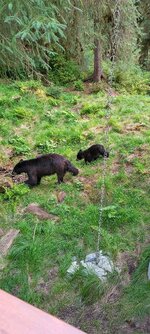 IMG_20250731_112143_MP.jpg
