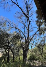 IMG_8624.jpeg