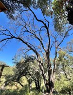 IMG_8622.jpeg