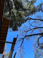 IMG_8623.jpeg