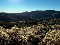 IMG_4382.jpeg