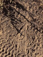 IMG_4380.jpeg