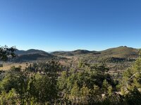 IMG_4383.jpeg
