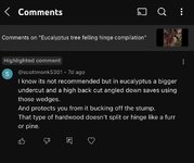 IMG_4392.jpeg