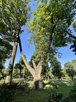 IMG_5075.jpeg