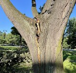 IMG_5076.jpeg