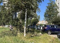 IMG_5090.jpeg
