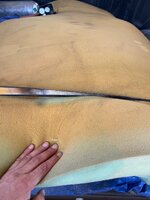 IMG_4403.jpeg