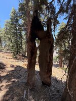 IMG_4080.jpeg