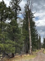 IMG_3070.jpeg