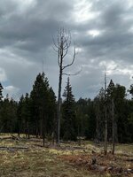 IMG_3069.jpeg