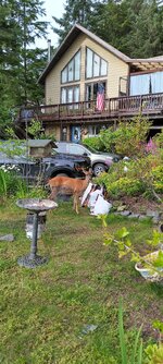 IMG_20250805_172029_MP.jpg