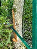 IMG_5125.jpeg